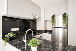 The Lilium (D19), Condominium #575303651